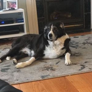 Meet your Posher, Bryan